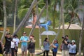 Bird lovers and photographers gather when a macaw flew towards its handler