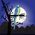 Bird Macaw standing on branch with moon background an night , vector illustration
