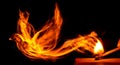 Bird made of fire Royalty Free Stock Photo