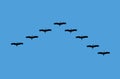 Bird Migration on blue sky, illustration vector Royalty Free Stock Photo
