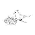 Bird mom and chicks in the nest icon, sticker. sketch hand drawn doodle style. minimalism, monochrome. spring, brood