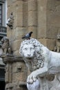 Bird on a monument, a stone lion Royalty Free Stock Photo