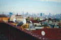 A bird near the Hagia Sophia at Istanbul, Turkey.