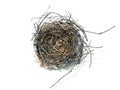 Bird nest 08' 2 Royalty Free Stock Photo