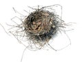 Bird nest 08' Royalty Free Stock Photo