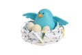 Bird nest Royalty Free Stock Photo