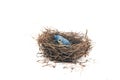 Bird Nest Royalty Free Stock Photo
