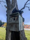 Bird nest box on quaint hollow tree trunk in closeup view