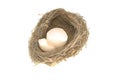 Bird nest and broken egg shells Royalty Free Stock Photo