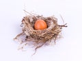 Bird nest with egg isolated on white background Royalty Free Stock Photo