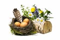 Bird nest, eggs, feather and spring flowers