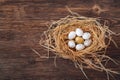 Bird nest with eggs and one golden egg, metamorphing for leadership and being unique