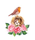 Bird and nest with eggs in pink rose flowers. Floral watercolor for Mothers day