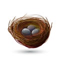 Bird Nest With Eggs