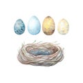 Bird nest with eggs watercolor set, isolated on white background