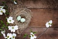 Bird Nest and Eggs with White Flowering Dogwood Blossoms Royalty Free Stock Photo