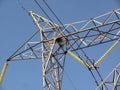 Bird nest on electric tower high tension mass