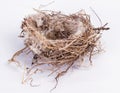 Bird nest An empty isolated on white background Royalty Free Stock Photo