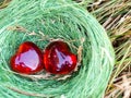 Bird nest hidden in a grass with two red hearts inside Royalty Free Stock Photo