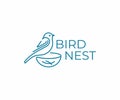 Bird with nest logo design. Bird watching vector design