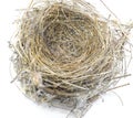 bird nest made with straw and twigs twisted together