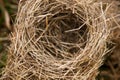 Bird nest in nature Royalty Free Stock Photo