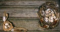 Bird nest with Quail eggs and feather in one side and rope coil with egg in other on rustic wood background Royalty Free Stock Photo