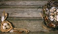 Bird nest with Quail eggs and feather in one side and rope coil with egg in other on rustic wood background Royalty Free Stock Photo