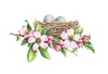 Bird nest in spring flowers. Watercolor illustration. Spring garden element. Hand drawn bird nest with eggs, blooming