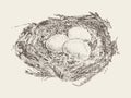 Bird nest three eggs hand drawn vector sketch