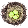 Bird's nest with three eggs isolated on white Royalty Free Stock Photo