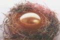 Bird nest with traditional painted golden egg on wood, antique Royalty Free Stock Photo