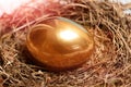 Bird nest with traditional painted golden egg on wood, easter Royalty Free Stock Photo