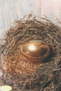 Bird nest with traditional painted golden egg on wood, retirement Royalty Free Stock Photo