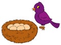 Bird and nest (vector clip-art) Royalty Free Stock Photo