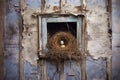 bird nest in a vent on a rustic, weathered wall