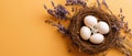 Bird nest with white eggs and lavender flowers on a warm yellow background, creating a rustic spring and Easter themed composition Royalty Free Stock Photo