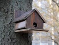 Bird Nestbox
