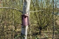 Bird nesting box attached to a tree trunk seen in early Spring - 2 Royalty Free Stock Photo