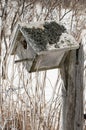 Bird nesting box covered in ice after an ice storm Royalty Free Stock Photo