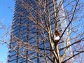 Bird nesting-box and house Royalty Free Stock Photo
