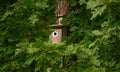 Bird nesting box on the tree Royalty Free Stock Photo