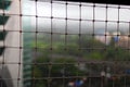 Bird net outside the sliding window with an out-of-focus view of the highway, office buildings and green patches of land