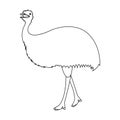 Bird, ostrich emu.African wild ostrich single icon in outline style vector symbol stock illustration web.