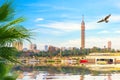 Bird over TV tower Royalty Free Stock Photo