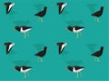 Bird Oystercatcher Set Cartoon Seamless Wallpaper Background