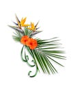 Bird Of Paradise floral element