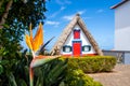 Bird of paradise flower (Strelitzia) with traditional house in Santana on background, Madeira island, Portugal Royalty Free Stock Photo