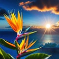 a bird of paradise flower with the sun setting in the backgrouund behind it and a dark blue sky with clouds in the