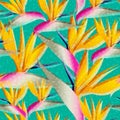 Bird of paradise jungle flower seamless pattern Royalty Free Stock Photo